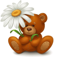 a spring bear holding a daisy